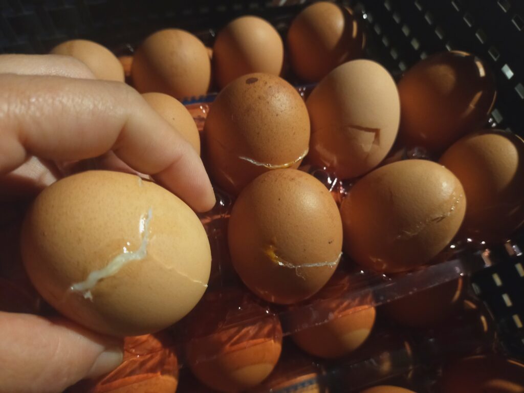 業務用　温泉卵の作り方　温泉卵　移動販売　温泉卵　大量
